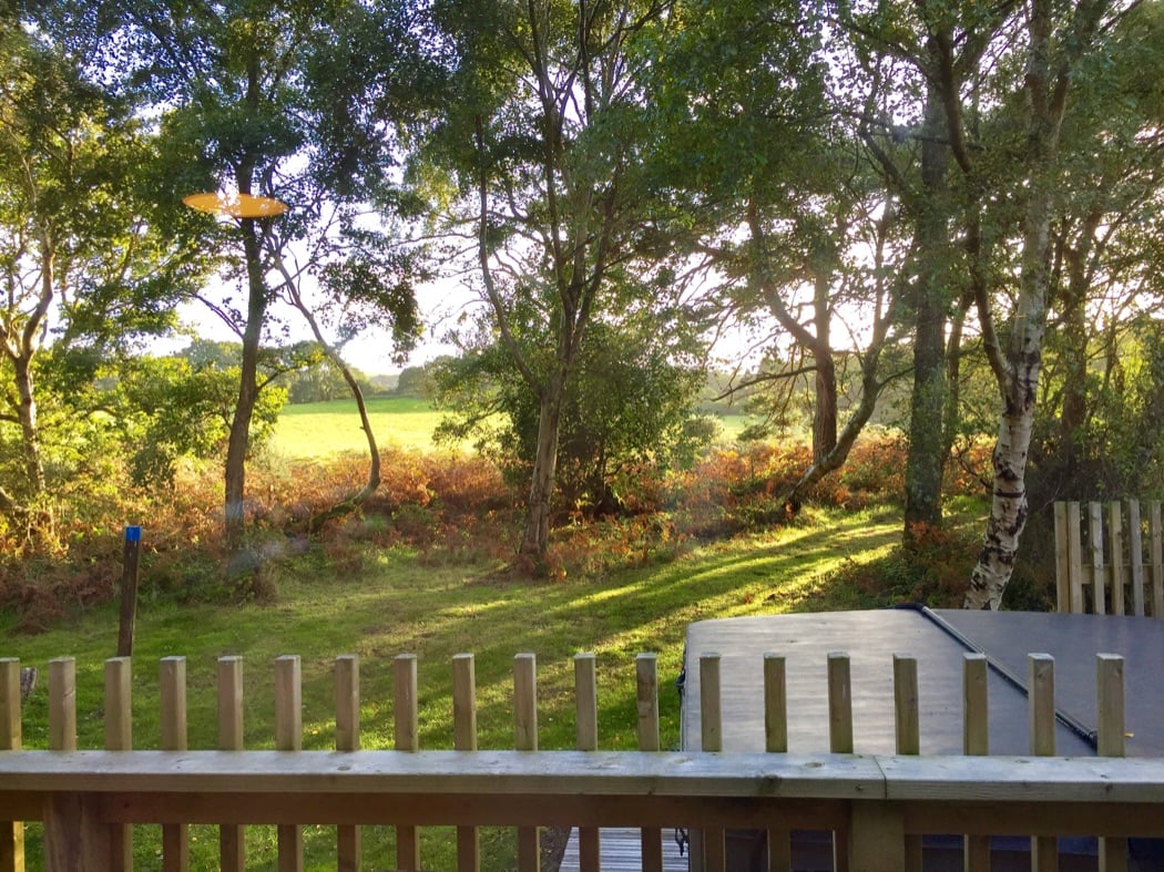 Luxury Self-Catering Escapes Amidst Nature In Dorset