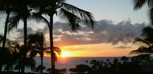 Best Hotel Executive Club Lounge In Hawaii