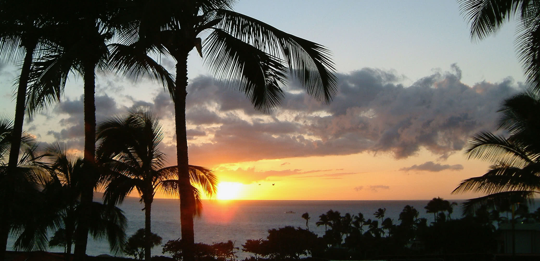 How Much Is Parking At Four Seasons Maui, Oahu and Hualalai In Hawaii?