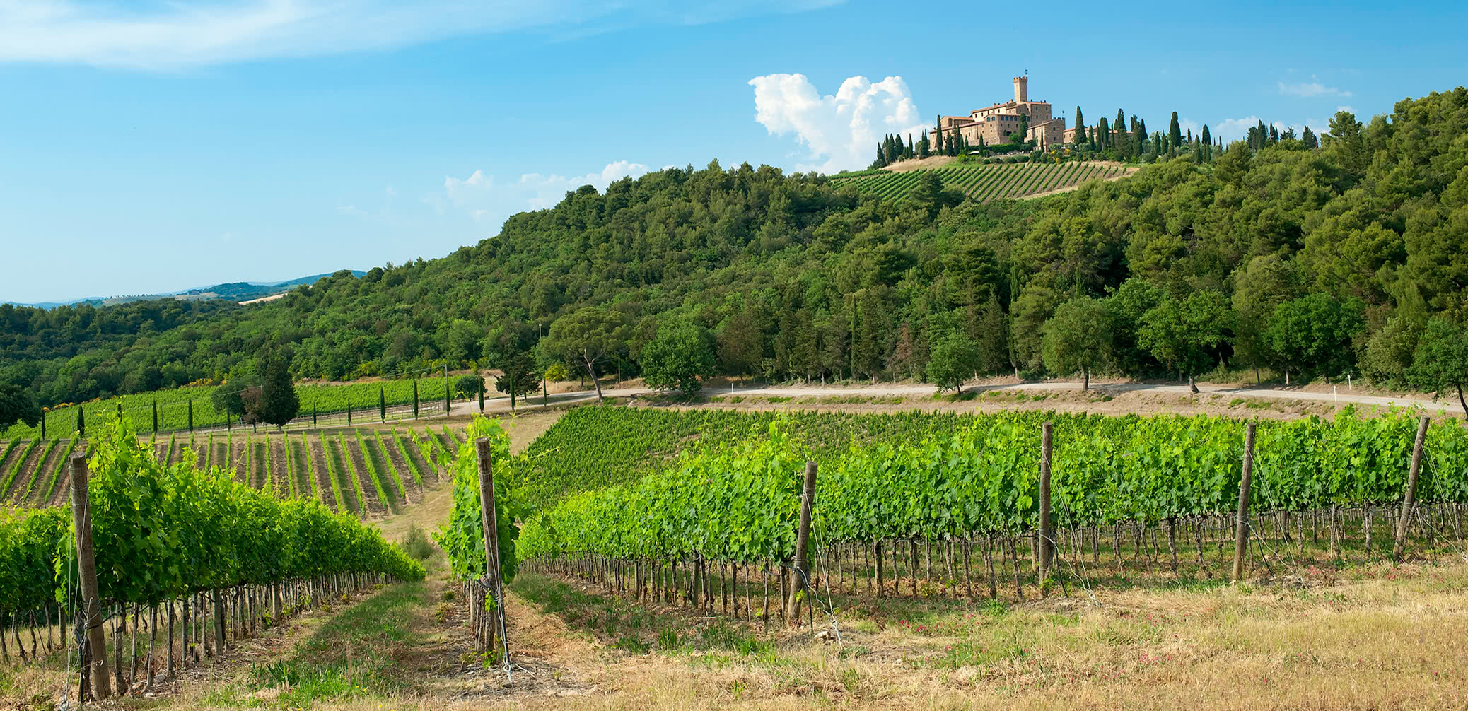 10 Best Wine Hotels In Tuscany