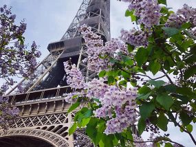 Private Half-Day Highlights Tour Of Paris For 4 People