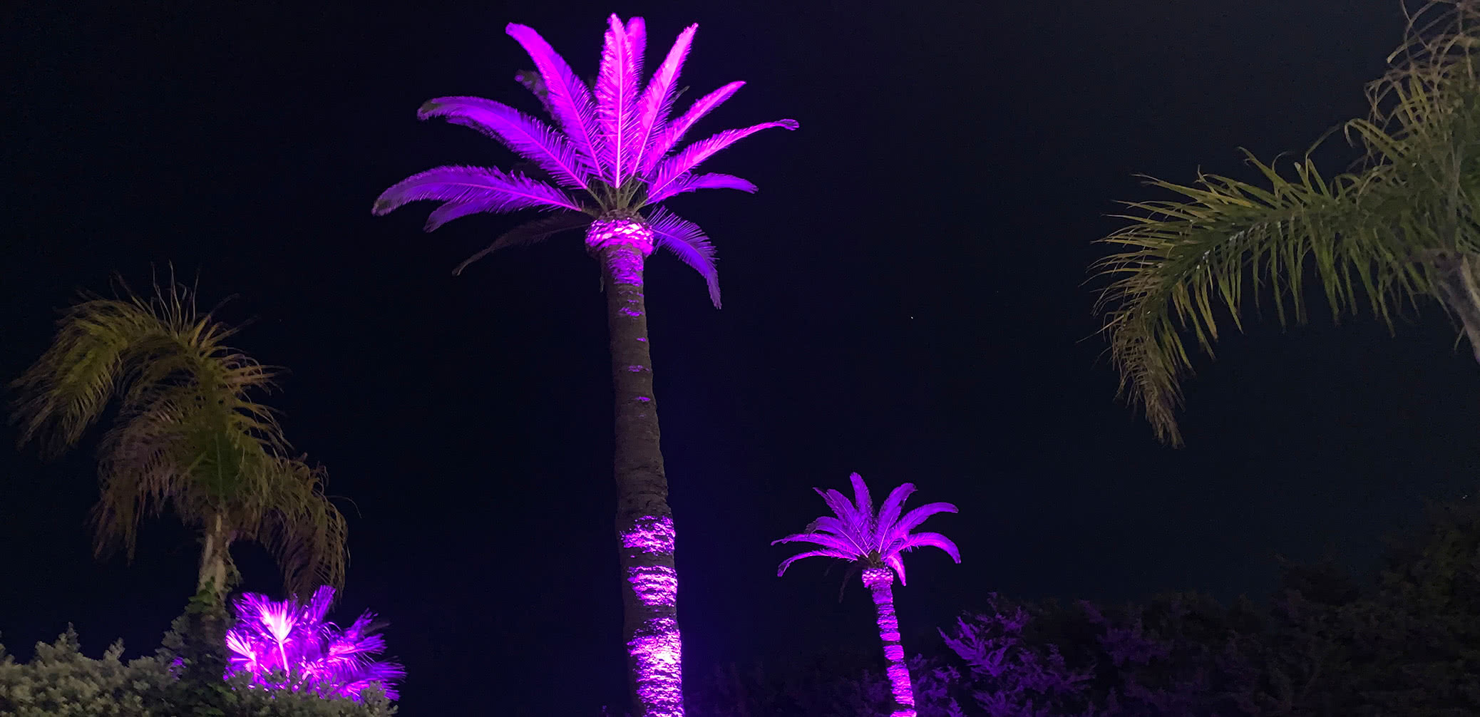10 Best Discounts At Four Seasons Palm Beach