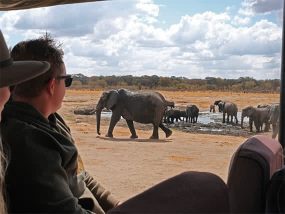 2 Magical Safari Nights at Hideaways Elephant’s Eye Tented Camp, Zimbabwe