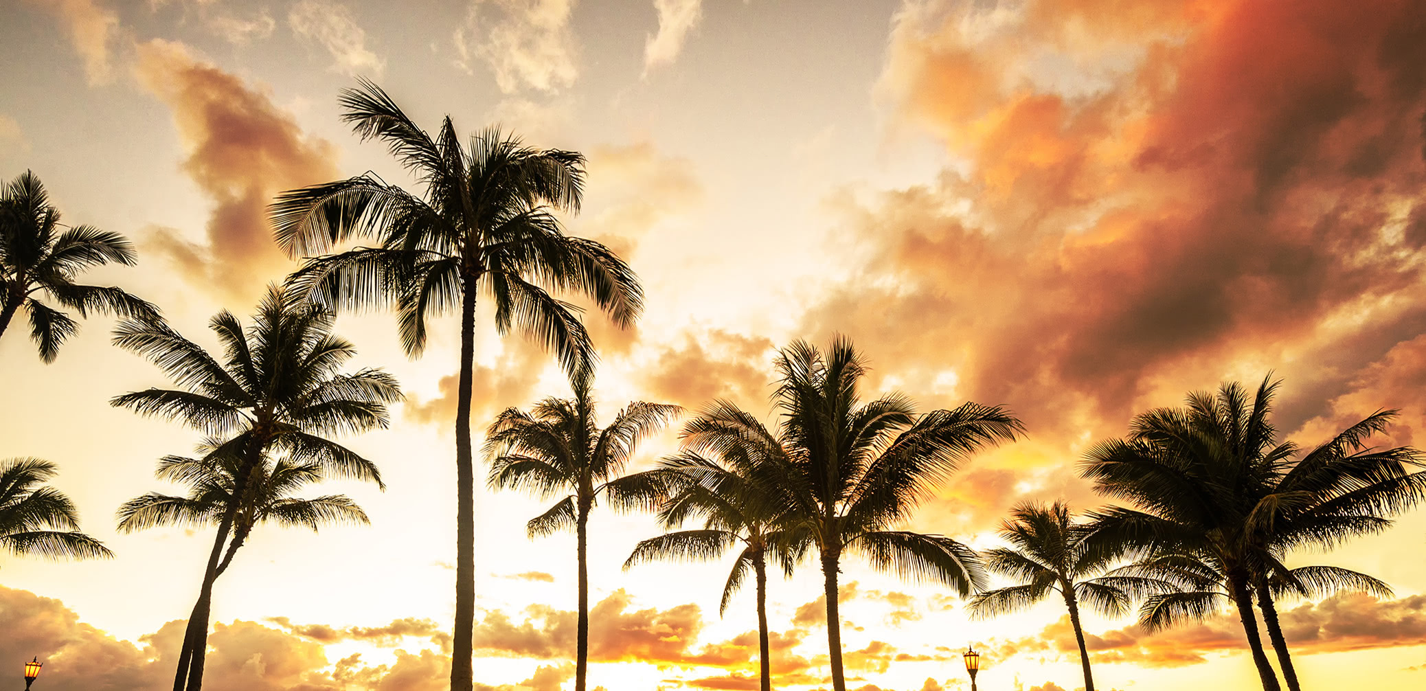 Sheraton Waikiki Or Hilton Hawaiian Village. Which Should You Book?
