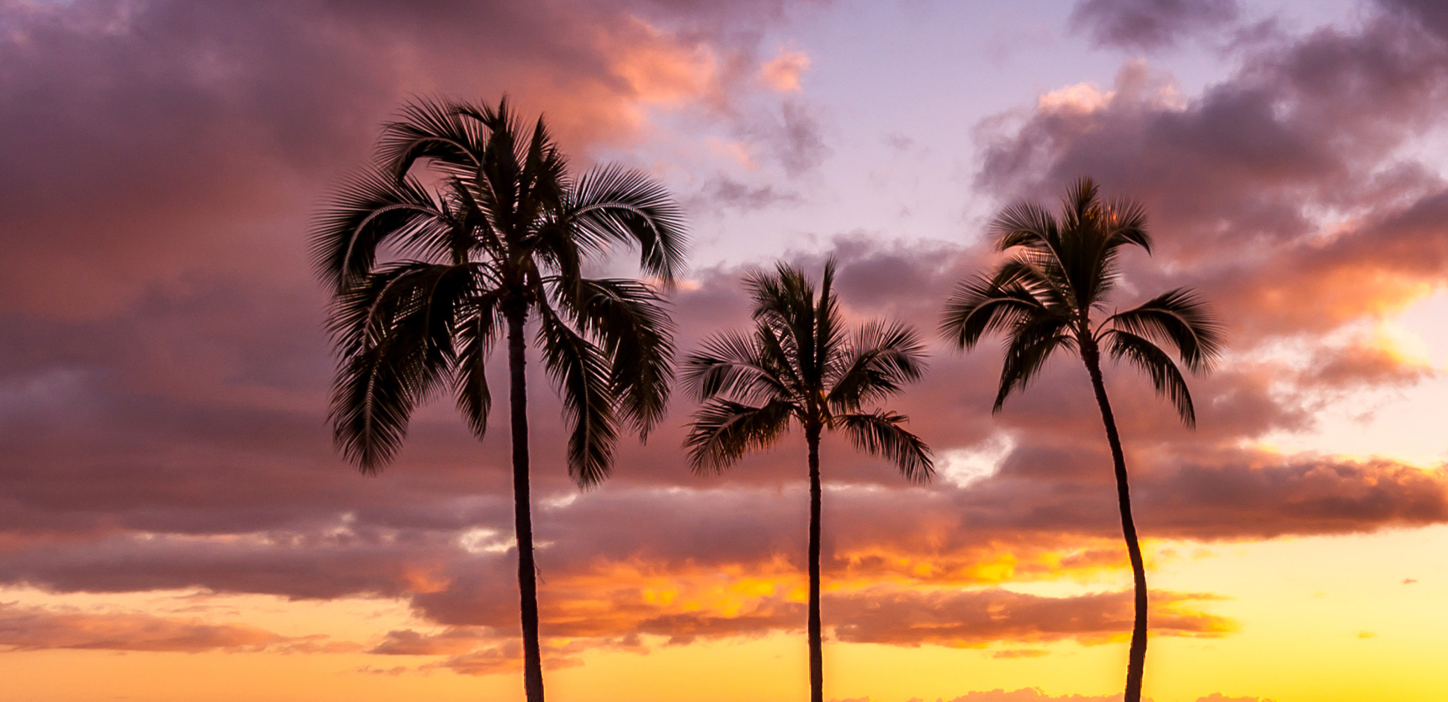 Best Marriott In Waikiki: Sheraton Waikiki Or Moana Surfrider